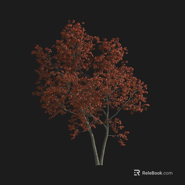 Lush Deciduous Tree with Vibrant Red Autumn Leaves and Dual Trunks 3d model 