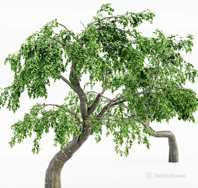 Lush Arbor Featuring Dense Green Foliage And Curved Trunk Structure 3d model 
