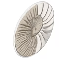 Nautilus Shaped Wall Decor With Textured White And Beige Design 3d model