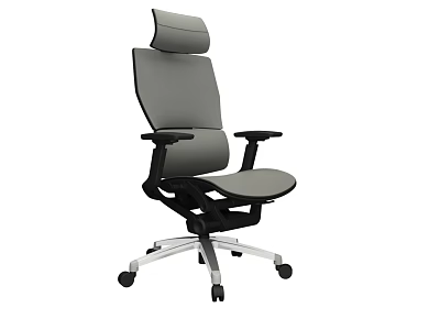 Ergonomic Gray Office Chair With High Backrest Adjustable Armrests And Swivel Base 3d model