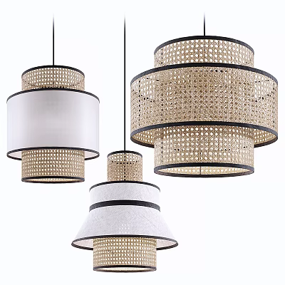 New Chinese Chandelier Rattan Chandelier 3d model