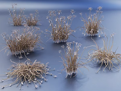 Indoor Landscape Featuring Dried Grass With Small White Flowers And Blue Background 3d model