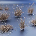 Indoor Landscape Featuring Dried Grass With Small White Flowers And Blue Background