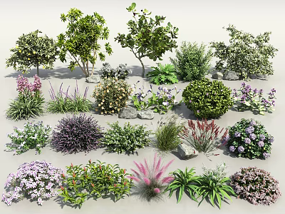Different Types of Flowers and Plants with Various Colors and Shapes 3d model