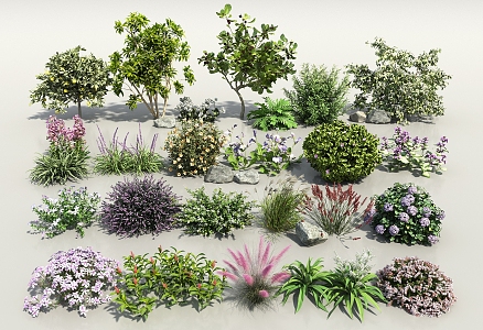 Flower Shrub Combination Shrub Plant Combination Landscape Green Planting Flowers and Plants Fig Tree Outdoor Flowers Greening Flowers and Plants Pink Lavender Fruit Tree 3d model