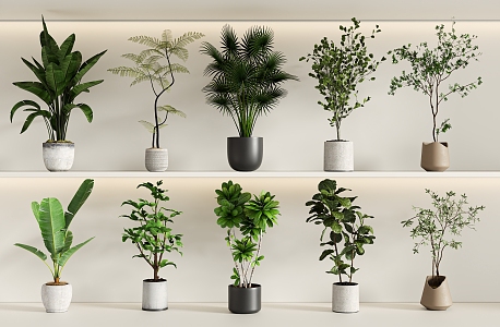 Modern green plant potted combination 3d model