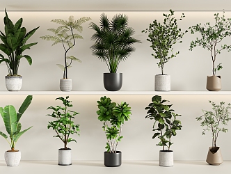 Modern green plant potted combination 3d model