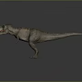 Realistic Tyrannosaurus Rex Dinosaur Model With Open Mouth Sharp Teeth And Muscular Texture