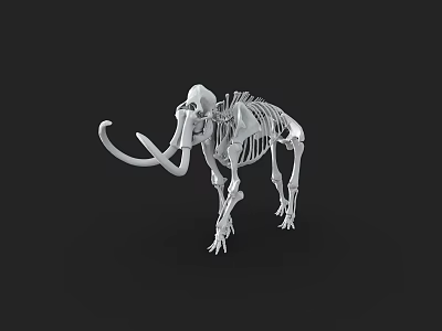 Detailed Mammoth Skeleton 3D Model With Long Tusks And Bone Structure 3d model