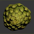 Fresh Artichoke with yellow green scales and a green stem on a dark smooth background