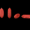 Red Sausages In Different Shapes With Glossy Texture On Black Background 3d model