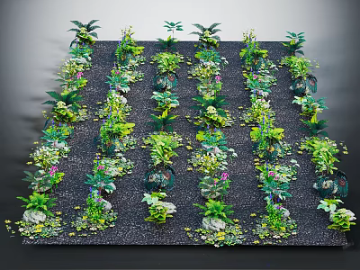 Diverse Potted Plants with Lush Green Foliage Arranged Neatly on Black Substrate 3d model