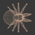 Fantasy Spider Like Creature Featuring Large Pink Spherical Body And Long Legs