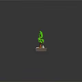 Four Green Bonsai Plants In Square Bases With Stones On Shiny Surface