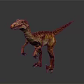 Realistic Velociraptor Dinosaur With Red Brown Yellow Skin Standing Pose And Detailed Texture