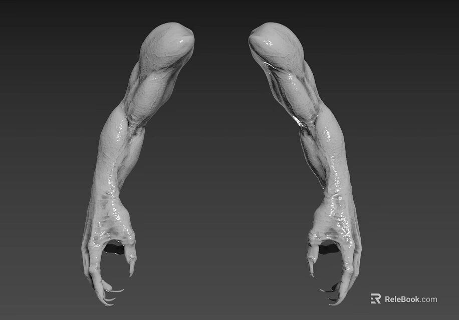 Symmetrical Muscular Biological Arms With Sharp Claws In 3D Modeled Gray Background 3d model 