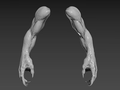 Symmetrical Muscular Biological Arms With Sharp Claws In 3D Modeled Gray Background 3d model