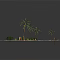 Tropical Island Scene With Wooden Pathway Palm Trees White Sand And Bushes
