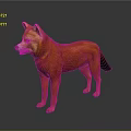 Orange Shiba Inu Dog Standing On Dark Background With Reflective Surface