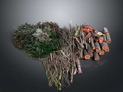 Natural Wood Branches And Firewood Stack With Dry Twigs And Logs 3d model