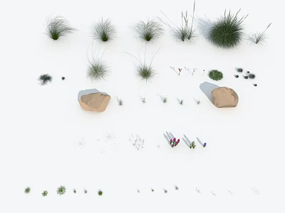 Different Types of Grasses and Small Plants Featuring Varied Heights and Foliage Shapes 3d model