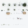 Different Types of Grasses and Small Plants Featuring Varied Heights and Foliage Shapes