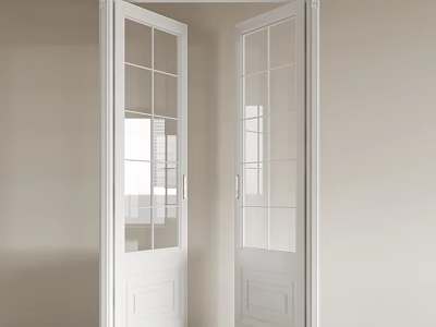 White Modern Double Doors With Glass Panes In Light Interior Space 3d model