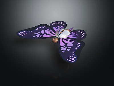 Modern Butterfly Insect Cartoon Butterfly 3d model