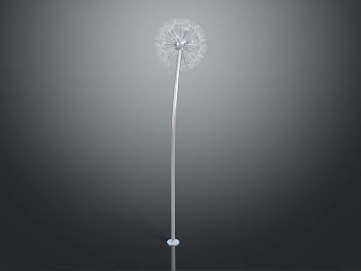 Dandelion Plant With Silver Stem And White Fluffy Seed Head Against Gray Background 3d model