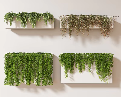 Lush Vines In White Planters For Wall Decoration 3d model