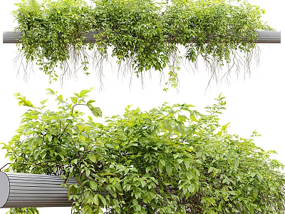 Lush Green Vines Hanging From Metal Pipe With Dense Vibrant Leaves 3d model