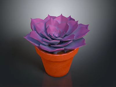 Purple Succulent Plant in Orange Terracotta Pot on Dark Background 3d model