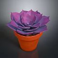 Purple Succulent Plant in Orange Terracotta Pot on Dark Background