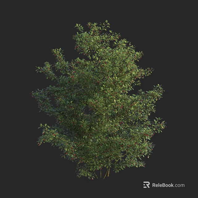 Lush Green Arbor Featuring Dense Foliage And Red Berries On Black Backdrop 3d model