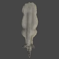 Highly Detailed 3D Rhinoceros Model With Realistic Texture And Gray Background