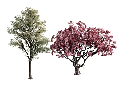 Plant combination trees old trees model