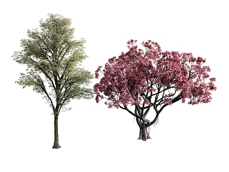 Plant combination trees old trees 3d model