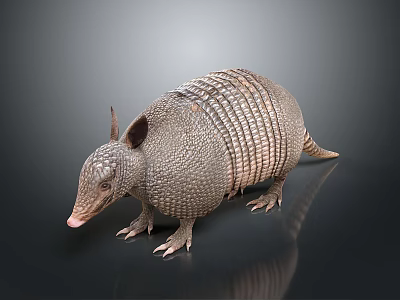 Armadillo With Scaly Armor Long Snout And Small Claws On Dark Surface 3d model