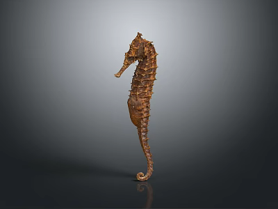 Bronze Seahorse Sculpture With Detailed Texture On Dark Reflective Background 3d model