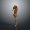 Bronze Seahorse Sculpture With Detailed Texture On Dark Reflective Background