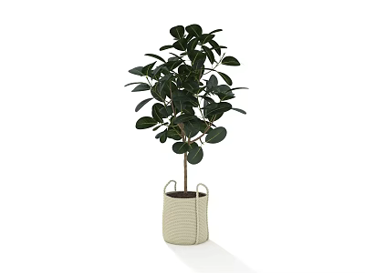 Potted Bonsai Plant With Green Round Leaves In Beige Fabric Pot 3d model