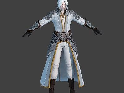 Elegant White Haired Character In Silver Decorated Robe With Black Gloves And Brown Boots 3d model