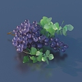 Grape fruit ornaments 3d model