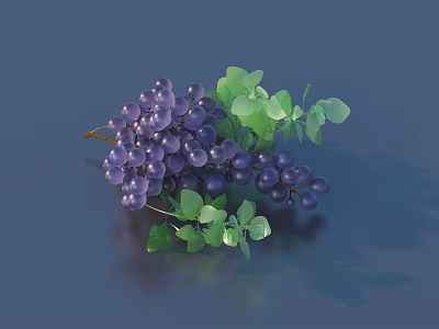 Fresh Vibrant Juicy Purple Grapes with Green Leaves Arranged in Clusters 3d model