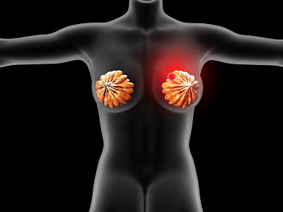 Medical Device for Breast Examination Visualizing Highlighted Area on Human Body Model 3d model