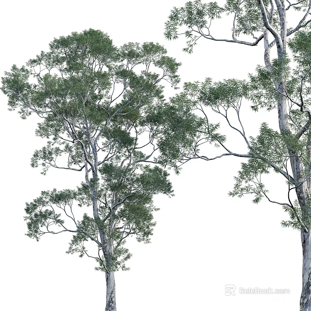 Tall Trees With Lush Green Foliage And Thick Trunk In Natural Landscape 3d model 