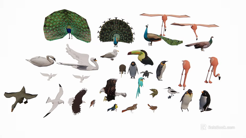 Various Flying Animals Including Peacocks Swans Flamingos Eagles Parrots Toucans Seagulls And Penguins 3d model 