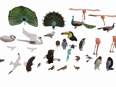 animals birds 3d model