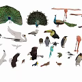 Various Flying Animals Including Peacocks Swans Flamingos Eagles Parrots Toucans Seagulls And Penguins