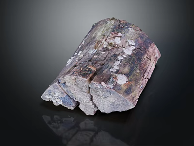 Natural Wood Stone Block With Organic Texture And Raw Surface Design 3d model